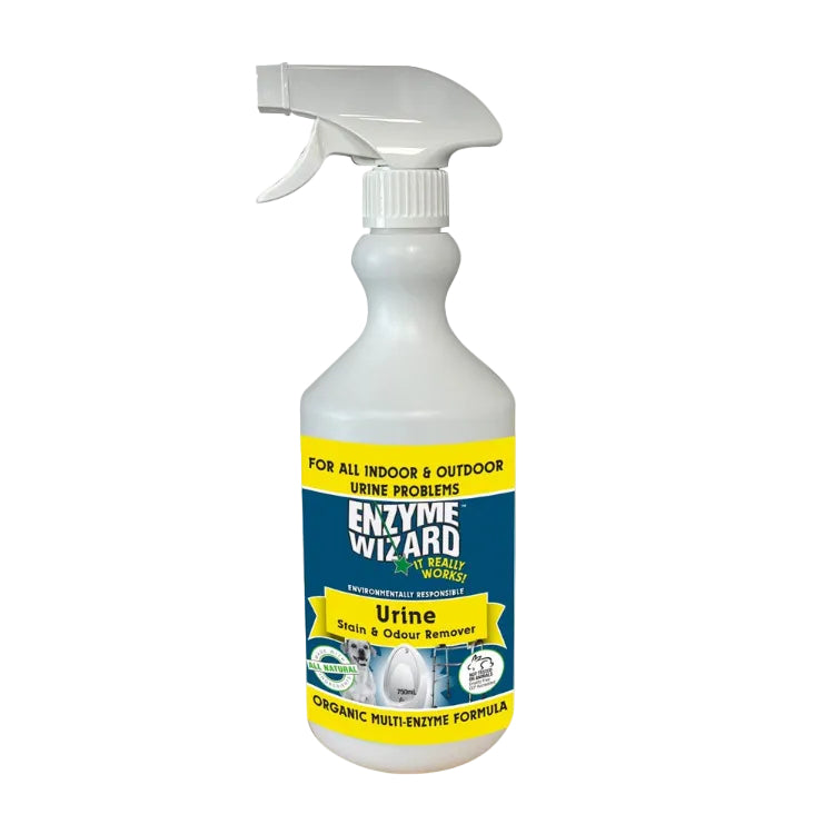 2. Cleaning Chemicals